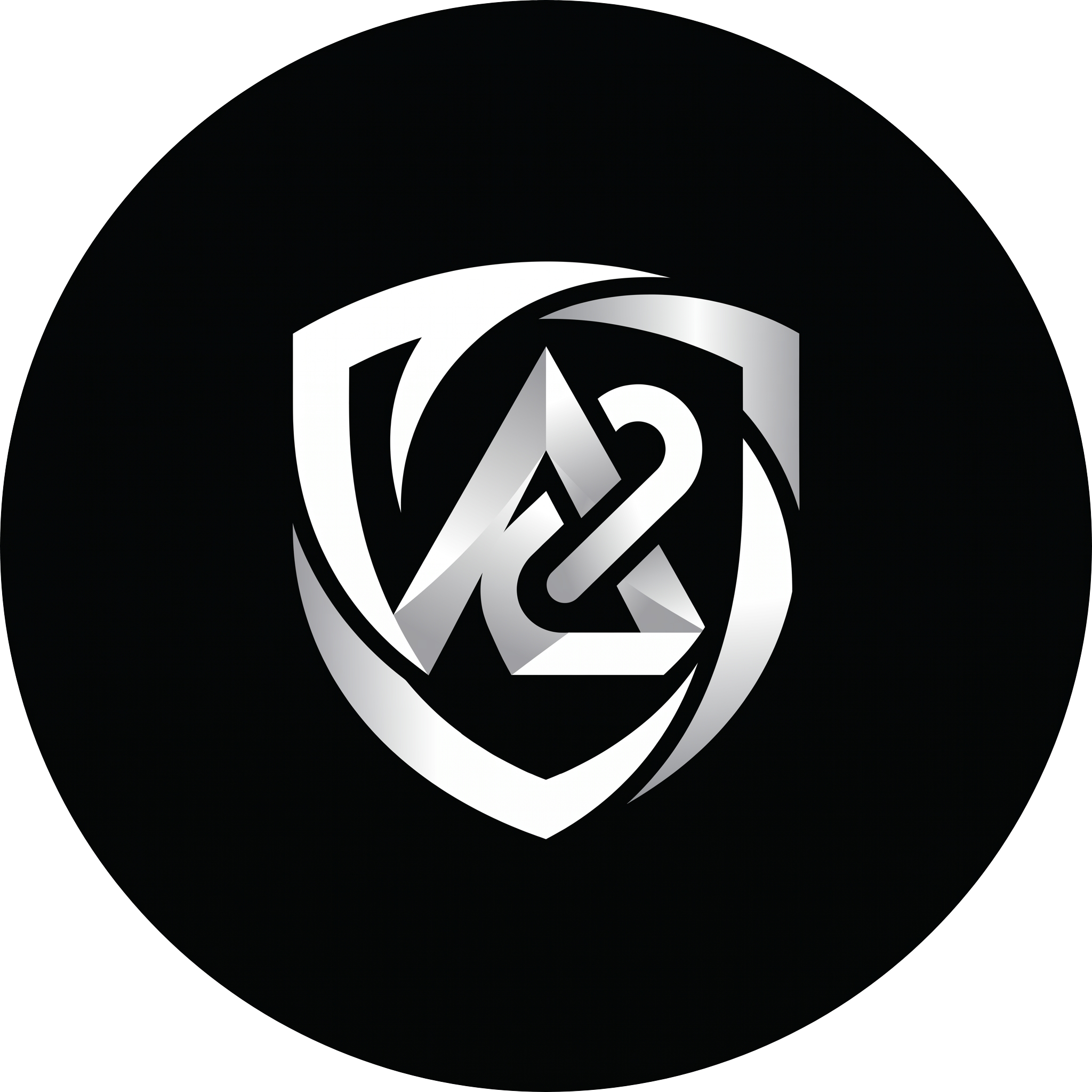 Zynpatix Logo